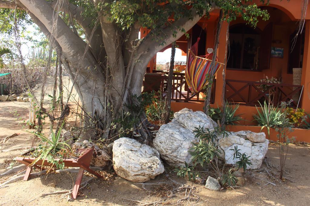 Fuego Mio Bed&Breakfast Santa Cruz Exterior foto