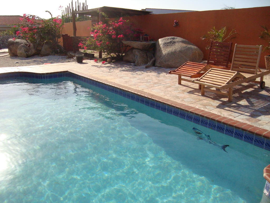 Fuego Mio Bed&Breakfast Santa Cruz Exterior foto