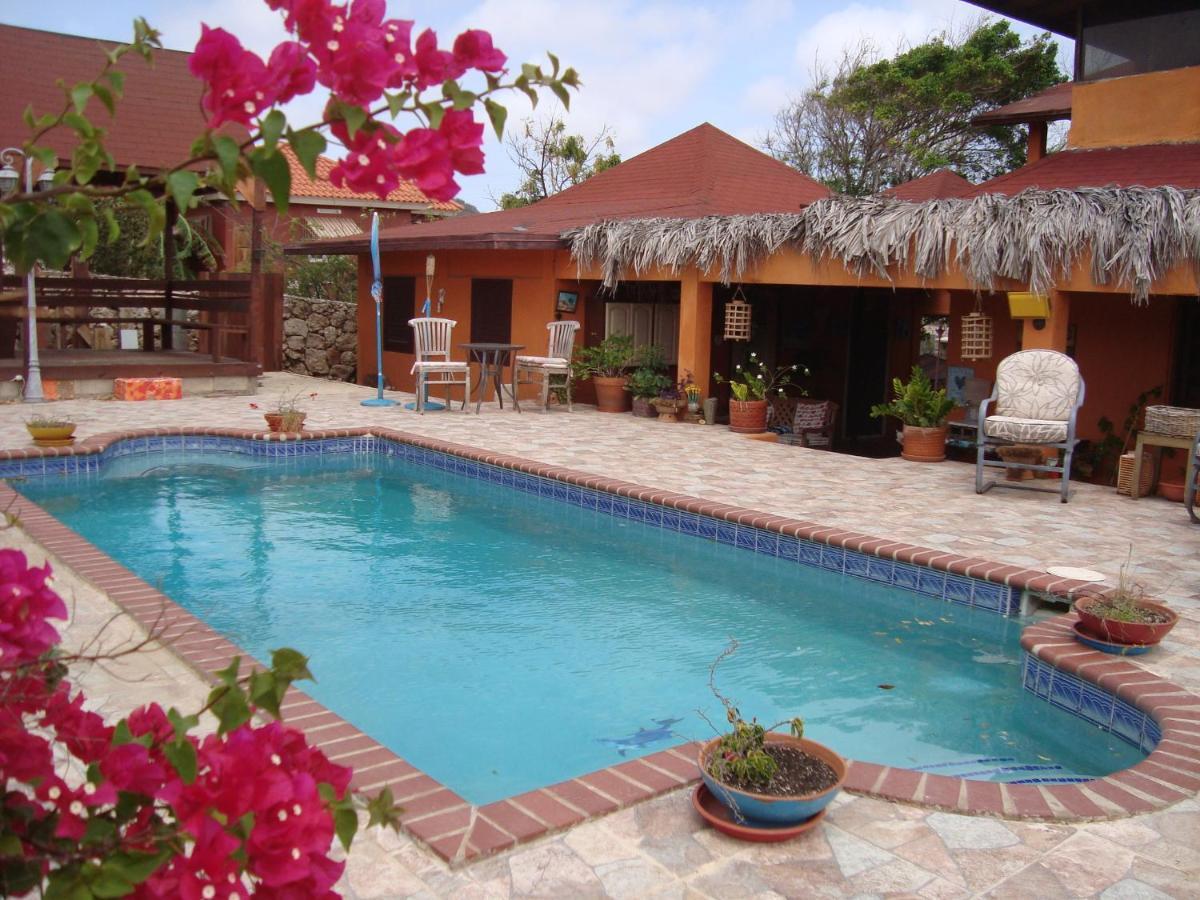 Fuego Mio Bed&Breakfast Santa Cruz Exterior foto